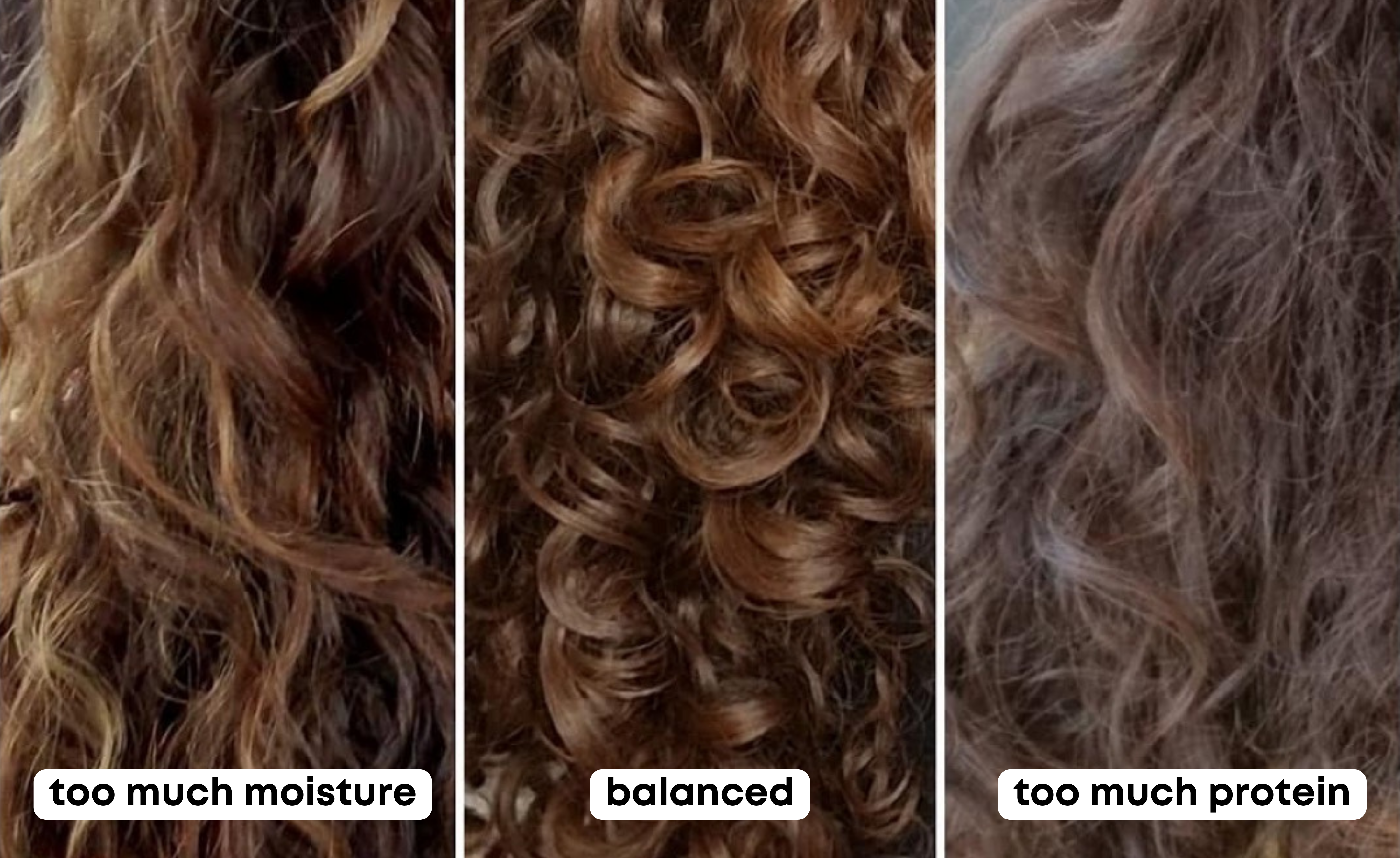 Illustration comparing hair conditions: too much moisture, balanced, and too much protein, showing curl definition differences.