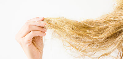 Damaged curls? 3 Steps to revive & repair!