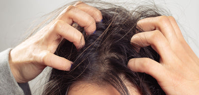 Scalp Bliss: Ditch the Itch!
